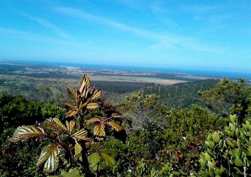 Apartamentos Bau-Doce Cercal do Alentejo Dış mekan fotoğraf
